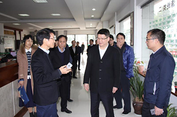 区委沈志江书记调研豪门国际官网集团-豪门国际官网
