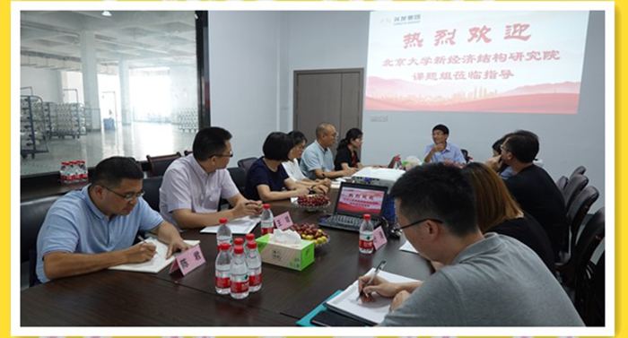 北京大学新结构经济学研究院一行来集团下属诚邦高新开展专题调研-豪门国际官网